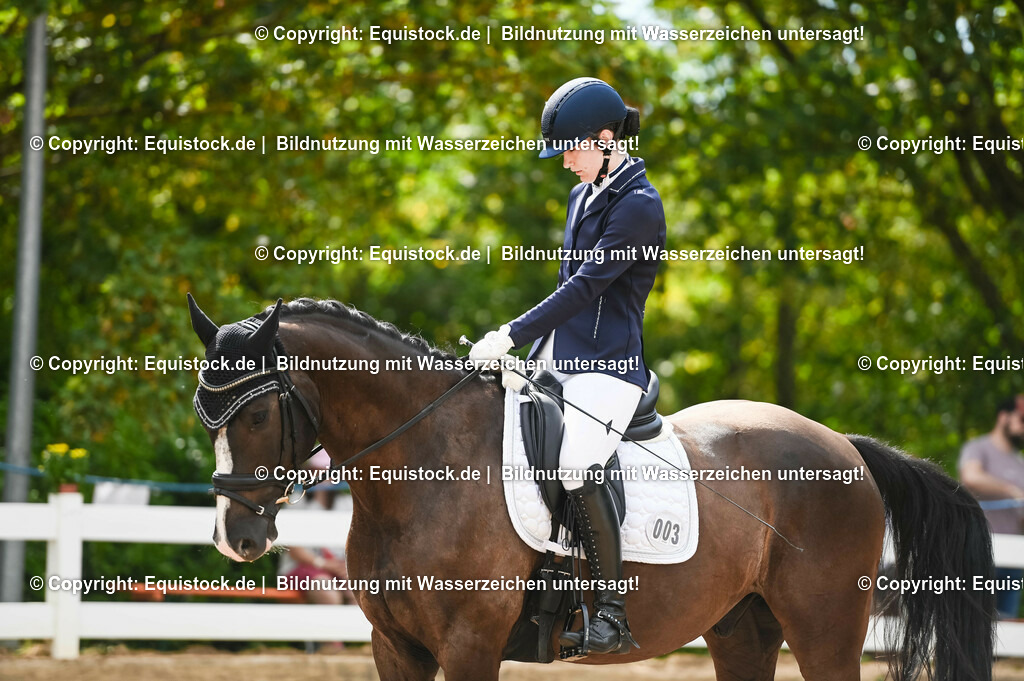 20230715_07_Dressurpferdeprfg. Kl.L_0012 | equistock
