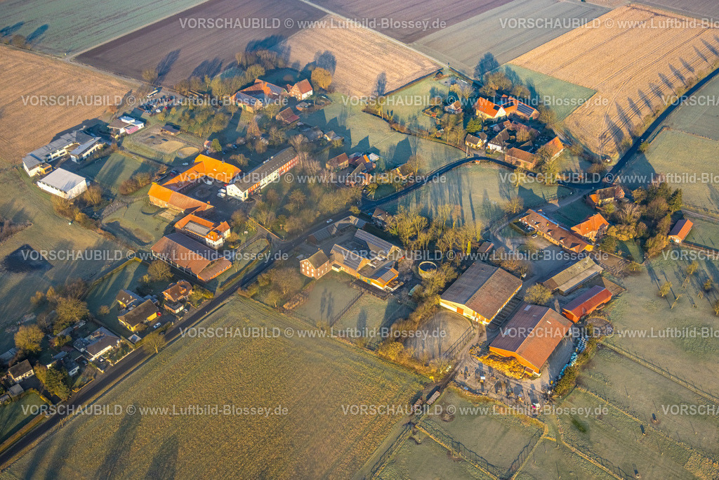 Hamm250200321Rhynern | Luftbild, Strüverhof Gemeinnützige Einrichtung, Wohngebiet Wohnsiedlung Unterallen, Stadtbezirk Rhynern, Hamm, Ruhrgebiet, Nordrhein-Westfalen, Deutschland