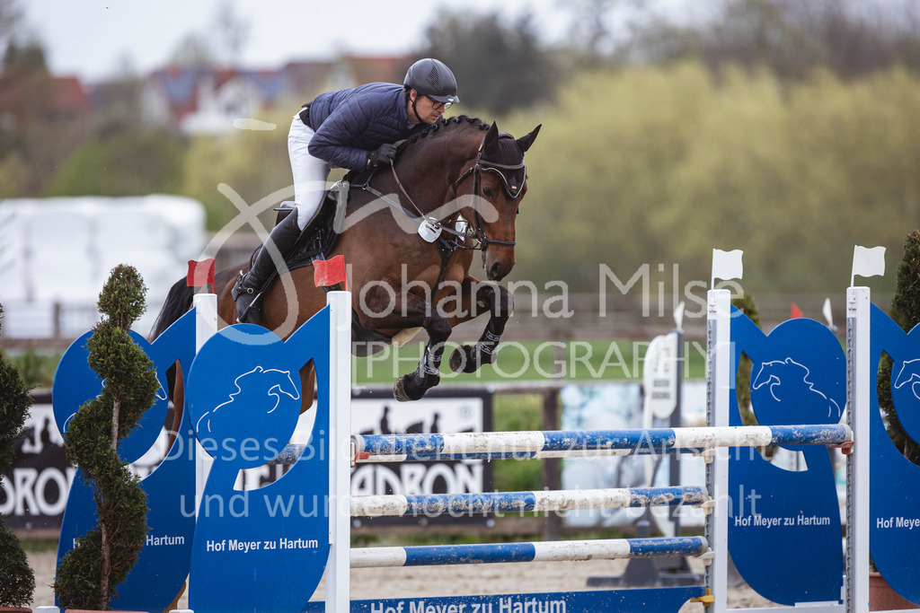 250417_Springpferde-L1-295 | Deine schönsten Turniermomente als professionelle Fotos! Entdecke hochwertige Pferdesport-Fotografie im Online-Shop. Jetzt Fotos finden & bestellen!