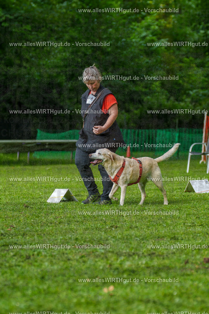 @allesWIRTHgut_Tierfotografie - www.allesWIRTHgut.de - 7R502179 | Professionelle Tierfotografie in Mönchengladbach von Daniel Wirth (allesWIRTHgut). Liebevolle & natürliche Bilder von Hunden & Katzen für unvergessliche Erinnerungen.