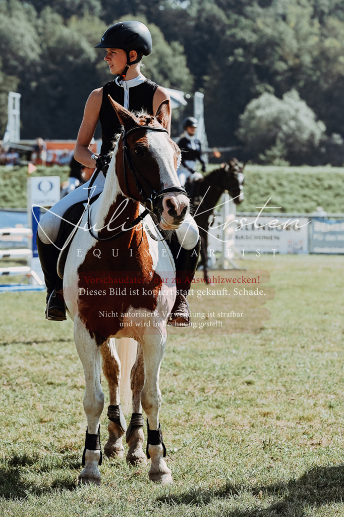 DSC_6205 | Pferde- und Turnierfotografie in Westsachsen. Pferdeportraits, Auftragszeichnungen und intuitive Kunst.