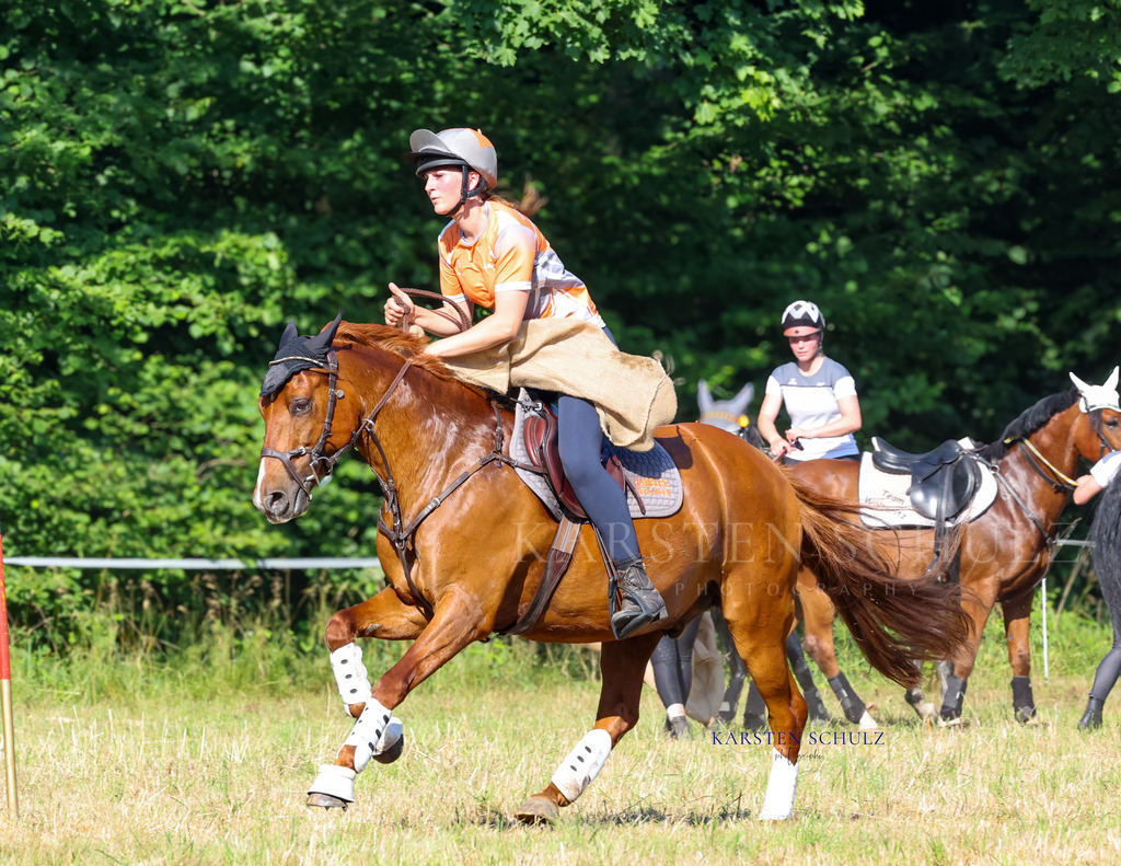 1B3A8336 | Reitsport Reiten