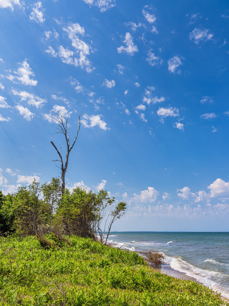 Strand an der Ostseeküste bei Rosenort in der Rostocker Heide | Strand an der Ostseeküste bei Rosenort in der Rostocker Heide.