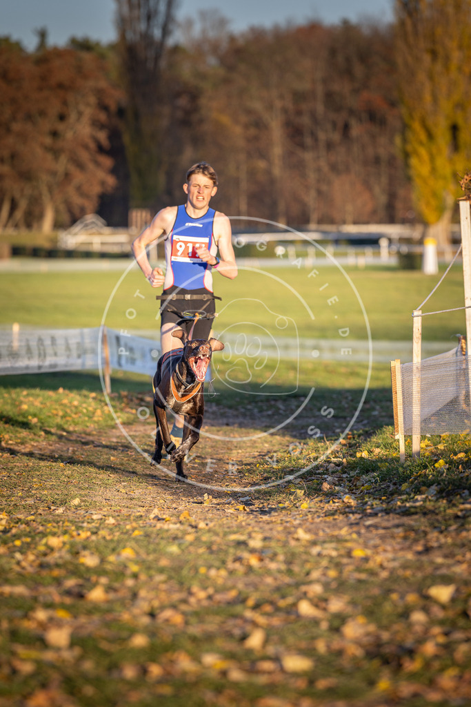 CaniXpix_DV3A4853 | Hundefotografie, Tierfotograf, Pfotenfotografie, Fotoshooting Hund, Hunde Portrait, Hundesport, Hundeportraits, Heideshooting, Hunde, Sportfotograf, Hundefotograf, Turnierhundsport, THS,  - Realisiert mit Pictrs.com