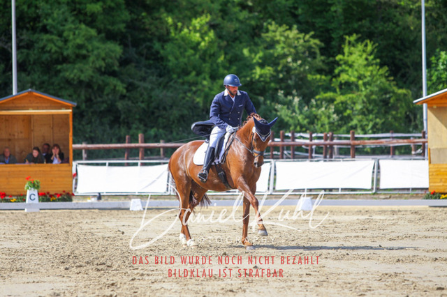 DKP46530 | Turniersportfotografie; Pferdefotografie; Dressurfotografie