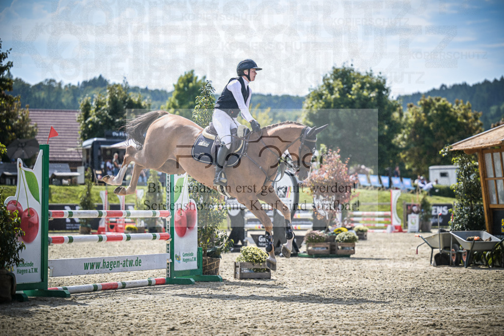 DOS_8441 | Entdecke hochwertige Reitturnierfotos von Foto Oger. Professionell, emotional und authentisch – jetzt Lieblingsmomente im Shop bestellen.Deutschlandweite Turnierfotografie. - Realisiert mit Pictrs.com