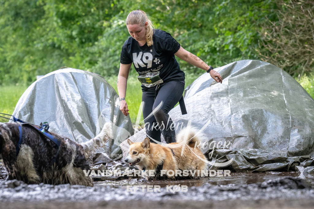 1240_ZZ92997 | kk-dogfotos
