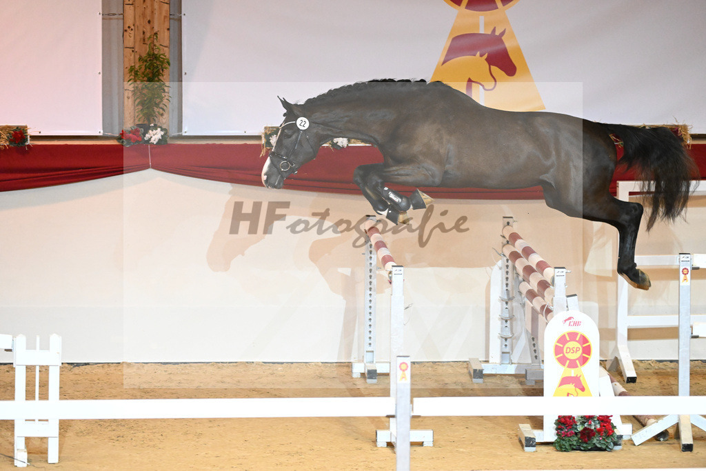 Kat-Nr. 22 Cornets Boy_Wilbers_1230927 | hf-fotografie - Realisiert mit Pictrs.com