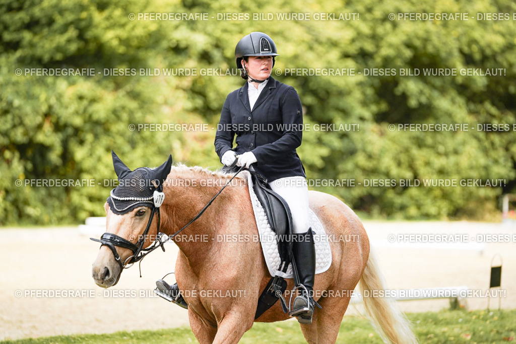 DSC03332 | Pferdegrafie