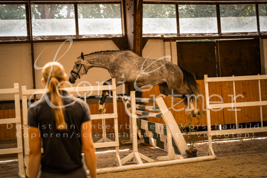 FrFS00013 | Leoni Ertmer Photography - Realisiert mit Pictrs.com