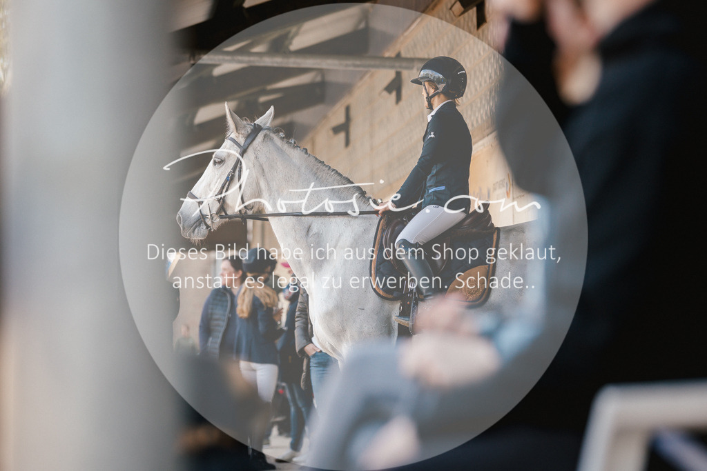 3I6A4029 | Stimmungsvolle Portraits und Reitsportfotografie im Ruhrgebiet und im Münsterland.

Pferdefotografie, Hundefotografie, Tierfotografie, Reportagen, Portraits von Tier und Mensch, Turnierfotografie in Bochum, Recklinghausen, Marl, Haltern am See, Dülmen.. - Realisiert mit Pictrs.com