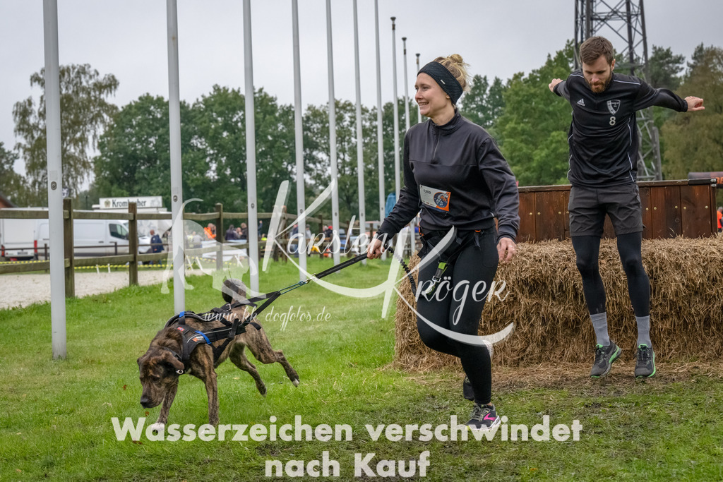 1206--17 | kk-dogfotos