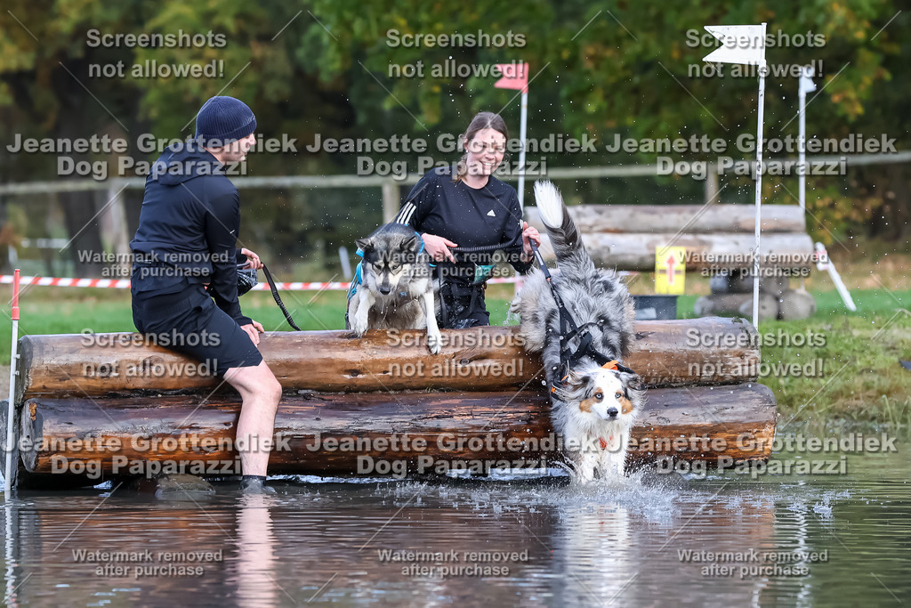 Dog Paparazzi - Strongdog 10-25-6879 | Dog Paparazzi Jeanette Grottendiek Fotografie & Videografie - Realisiert mit Pictrs.com