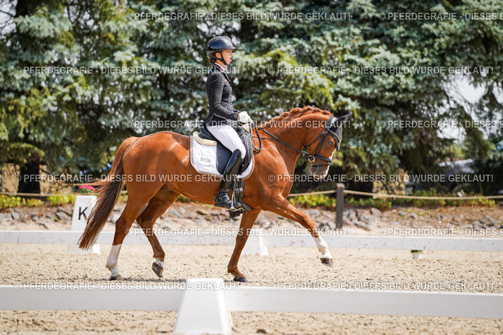 DSC00703 | Pferdegrafie