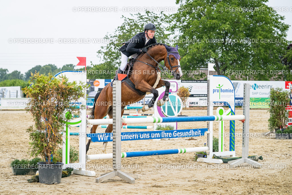 DSC00598 | Pferdegrafie