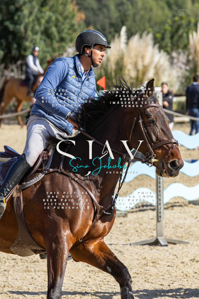 IMG_4263 | s-jay-photography - Realisiert mit Pictrs.com