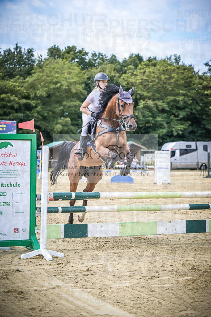 DOS_2780 | Entdecke hochwertige Reitturnierfotos von Foto Oger. Professionell, emotional und authentisch – jetzt Lieblingsmomente im Shop bestellen.Deutschlandweite Turnierfotografie. - Realisiert mit Pictrs.com