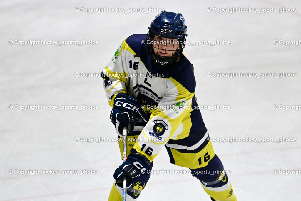 LADY HAWKS vs. WILDCATS PATERNION | #16 Anton Sandra WILDCATS PATERNION, LADY HAWKS vs. WILDCATS PATERNION, LADY HAWKS vs. WILDCATS PATERNION am 12.03.2025 in Steindorf (Ossiachersee Halle), Austria, (Photo by Bernd Stefan)
