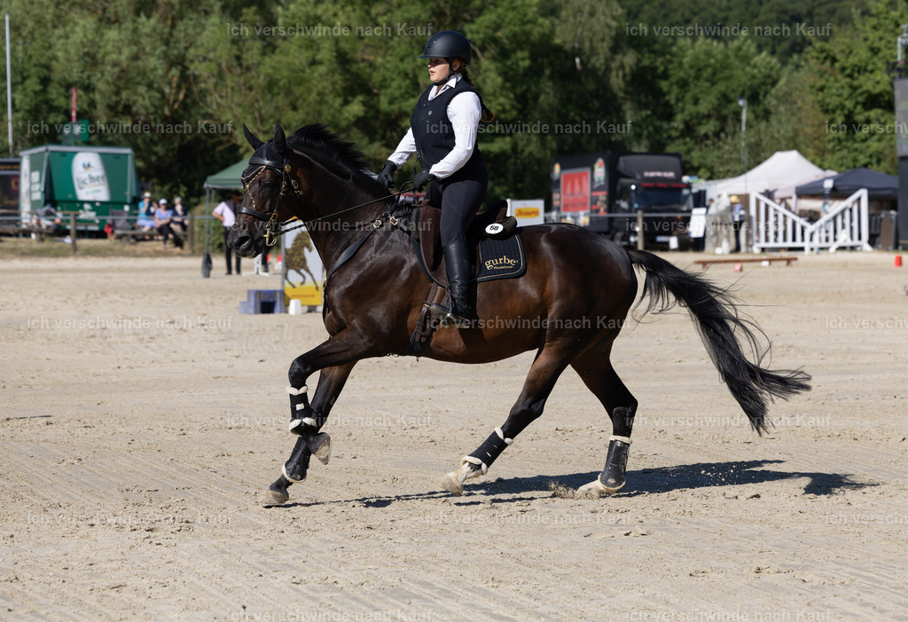 WL_Speed_58_KerstinBernhardt-11 | working equitationturnier fotograf videograf stoibphotography marixx film working equitation deutschland reitsport turnierfotografie eventfotografie equestrian events