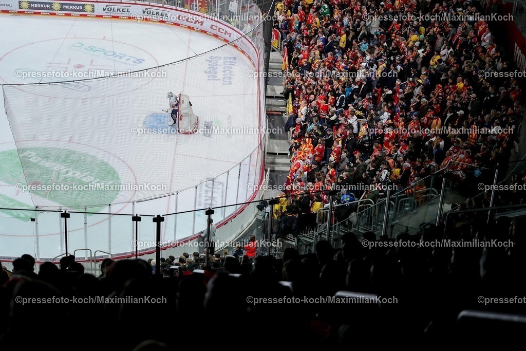 DEG12012501062 | 12.01.2025, Eishockey, Penny DEL, Düsseldorfer EG - Eisbären Berlin, PSD-BANK Dome: Feature Fans der DEG in der vollen Eishalle. Übersicht Übersichtsfoto Übersichtsbild der Spielstätte Innenansicht Zuschauer Fans Eishockeyspielfeld 