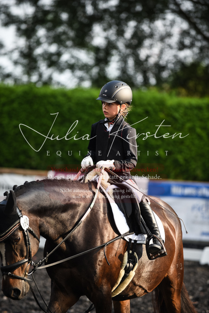 DSC_3548 | Pferde- und Turnierfotografie in Westsachsen. Pferdeportraits, Auftragszeichnungen und intuitive Kunst.