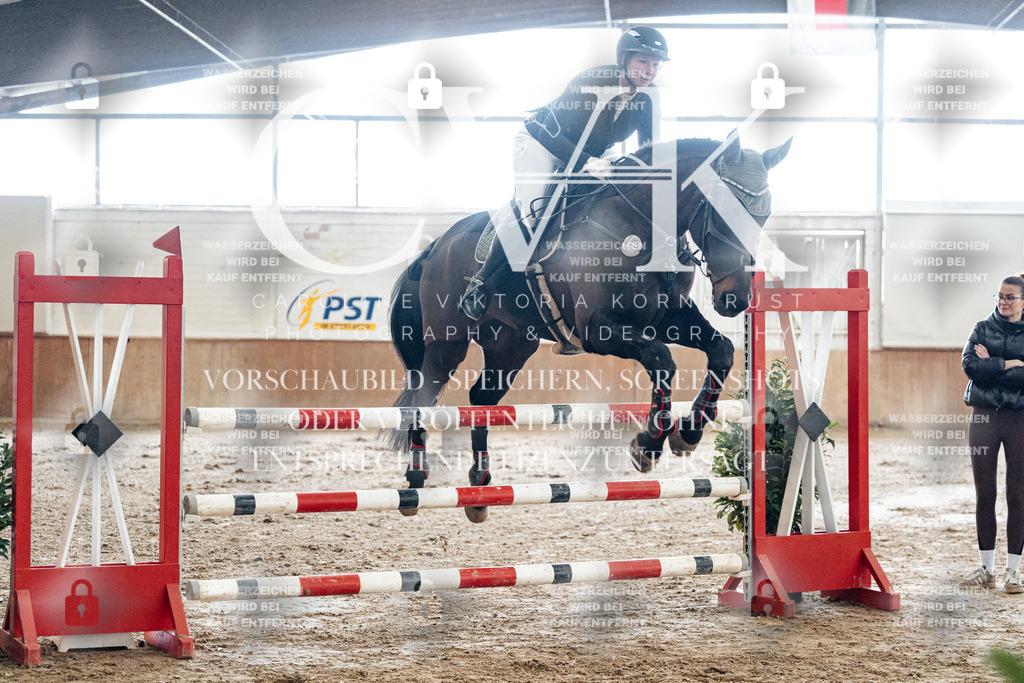 CK906207 | Turnierfotografie Pferdefotografie Trier Rheinland-Pfalz Pferdesport Reitsport Tierfotografie Sportfotografie Pferdevideo Pferdevideografie Equestrianvideography equestrianphotography  - Realized with Pictrs.com