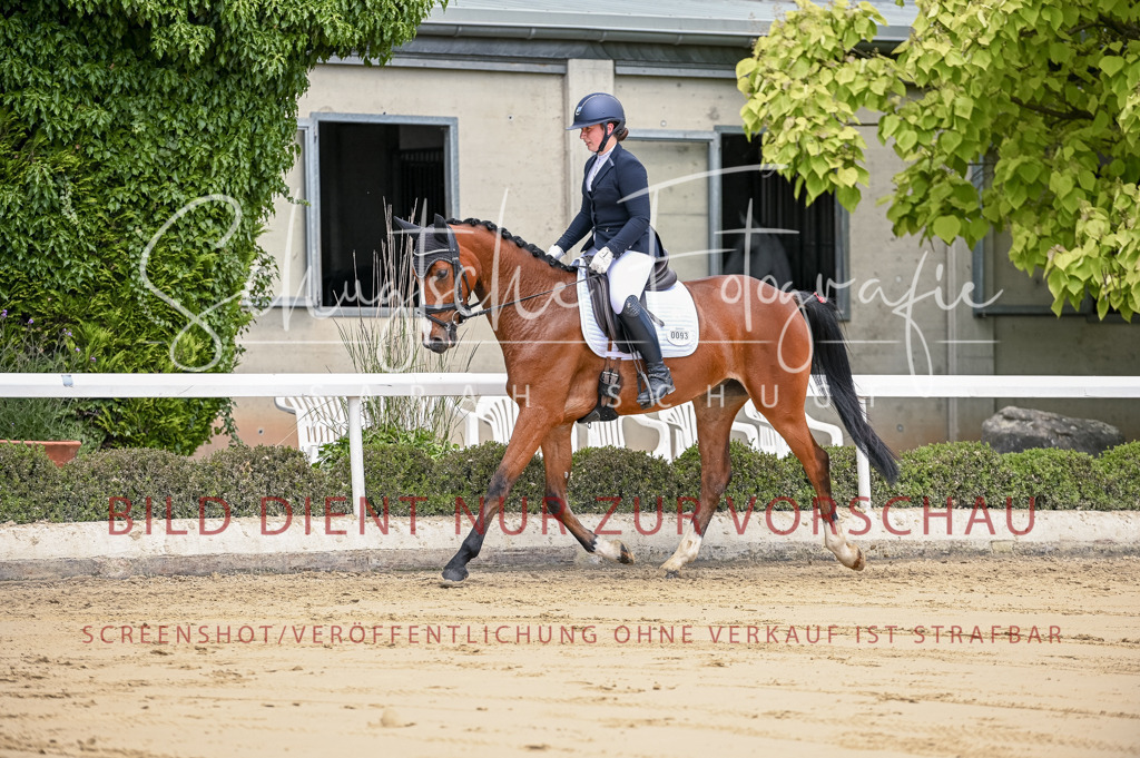 Schugtsche-Aluta25-48.Reitpferfdeprf.-151 | Schugtsche Fotografie - Realisiert mit Pictrs.com