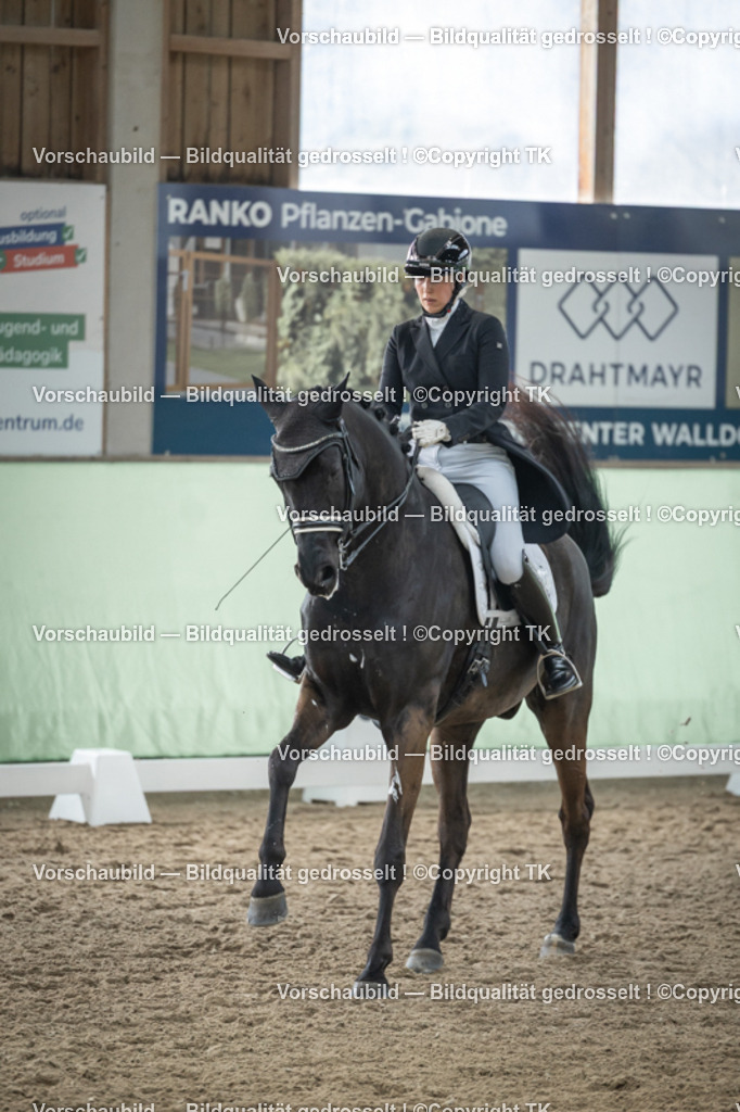 _D5A5398 | Emotionale Pferde- & People-Fotografie rund um Heidelberg, Leimen & Umgebung. Natürliche Fotos von Pferd, Mensch & Familie. Jetzt Termin sichern!