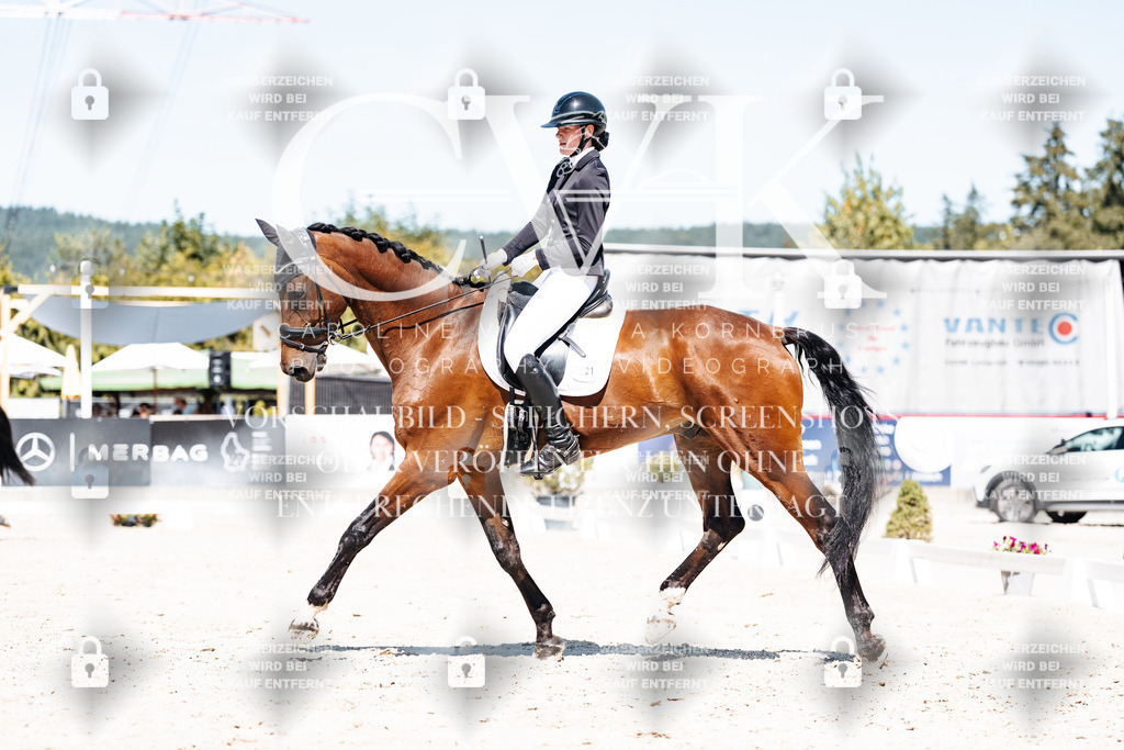 CK909777 | Turnierfotografie Pferdefotografie Trier Rheinland-Pfalz Pferdesport Reitsport Tierfotografie Sportfotografie Pferdevideo Pferdevideografie Equestrianvideography equestrianphotography  - Realisiert mit Pictrs.com