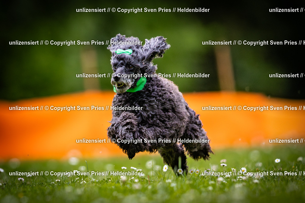 Sven Pries | 2025-05-29 - Pudelrennen KA-Durlach - Realisiert mit Pictrs.com