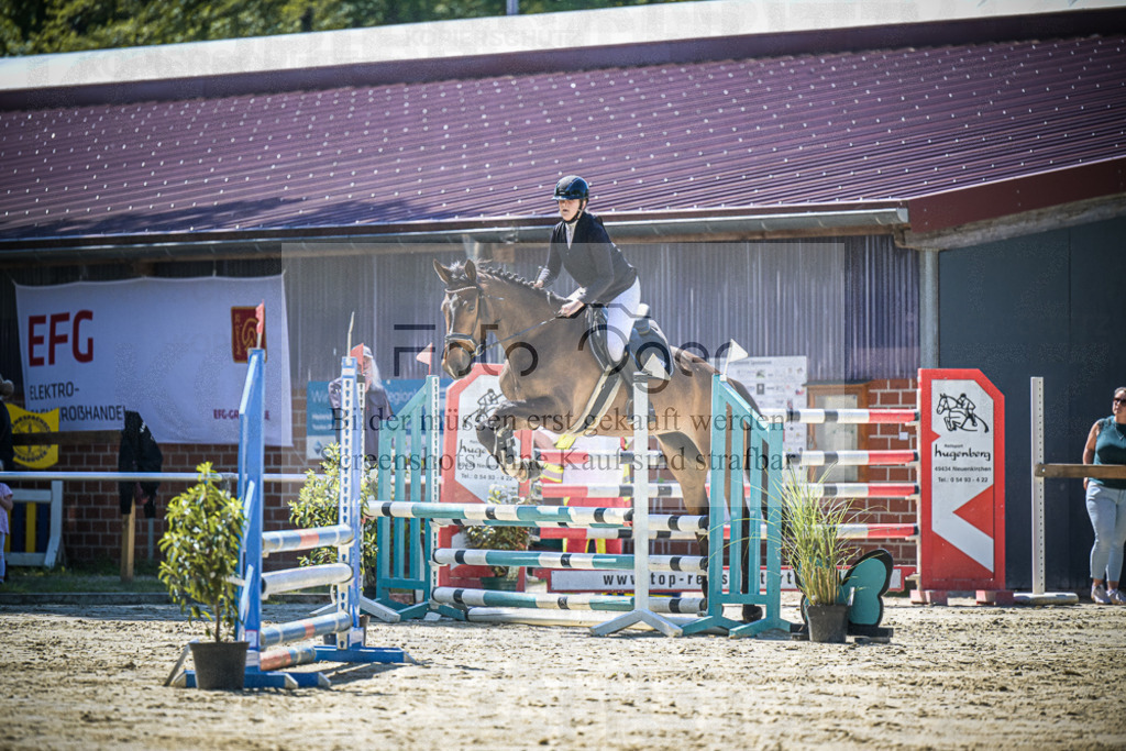 DOS_0351 | Entdecke hochwertige Reitturnierfotos von Foto Oger. Professionell, emotional und authentisch – jetzt Lieblingsmomente im Shop bestellen.Deutschlandweite Turnierfotografie. - Realisiert mit Pictrs.com