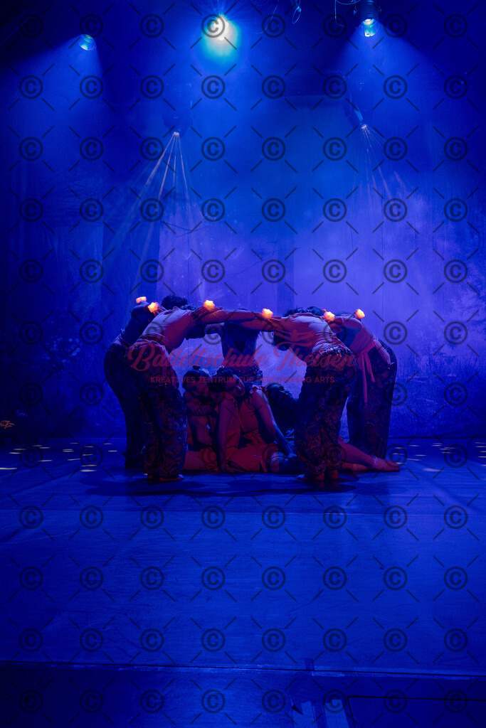 Ballettaufführung-1081 | Bildershop Lem'n Entertainment - Realisiert mit Pictrs.com