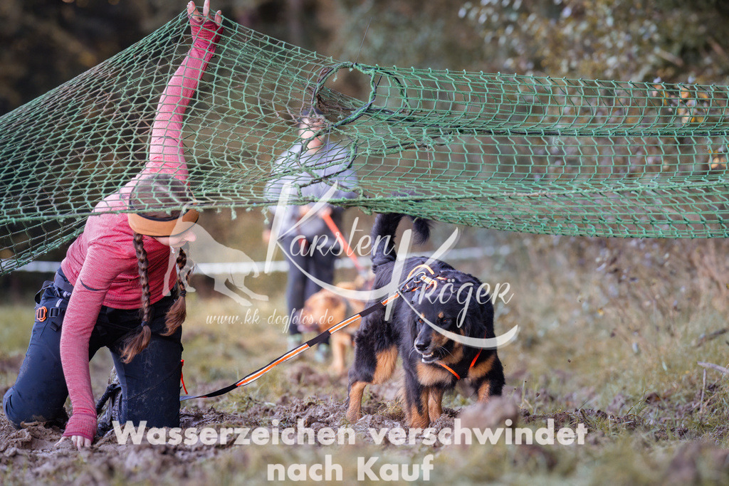 1012_ZZ90609 | kk-dogfotos