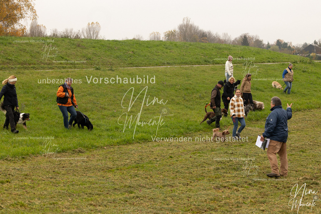 _16A0794 | Einzigartige Fotos von Hunden & Menschen –Actionfotos, Portraits, Vereinsaufnahmen & Paarshootings – authentisch, lebendig & mit Herz.