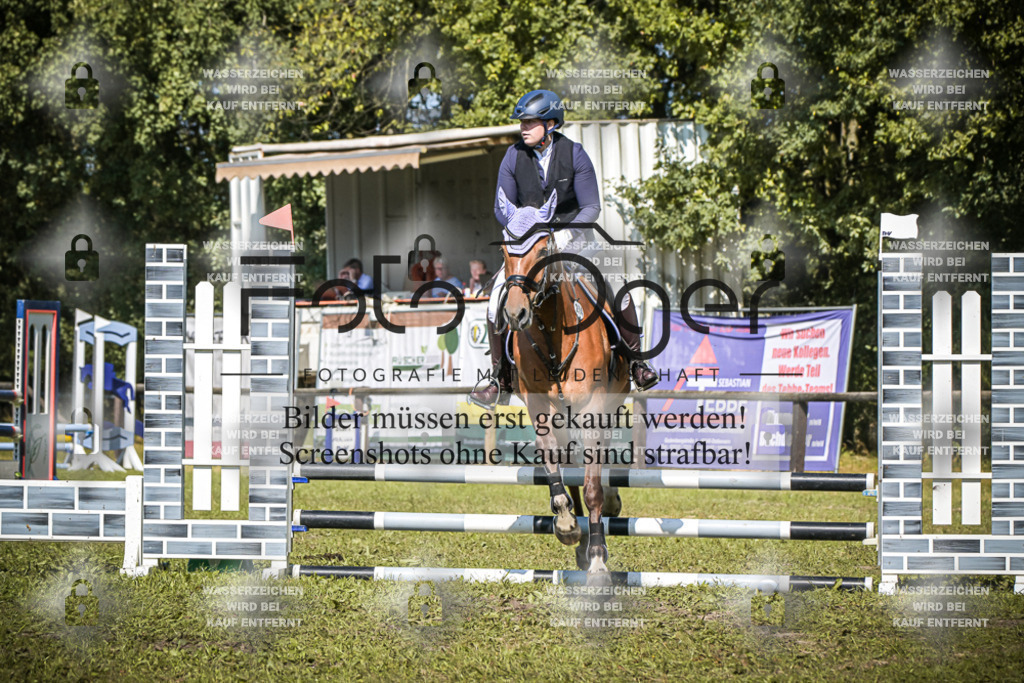 DOS_0146 | Entdecke hochwertige Reitturnierfotos von Foto Oger. Professionell, emotional und authentisch – jetzt Lieblingsmomente im Shop bestellen.Deutschlandweite Turnierfotografie. - Realisiert mit Pictrs.com