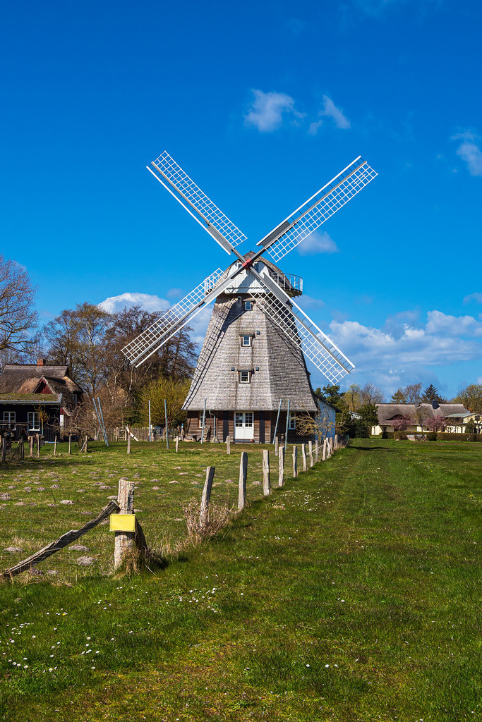 Historische Windmühle in Ahrenshoop auf dem Fischland-Darß | Historische Windmühle in Ahrenshoop auf dem Fischland-Darß.