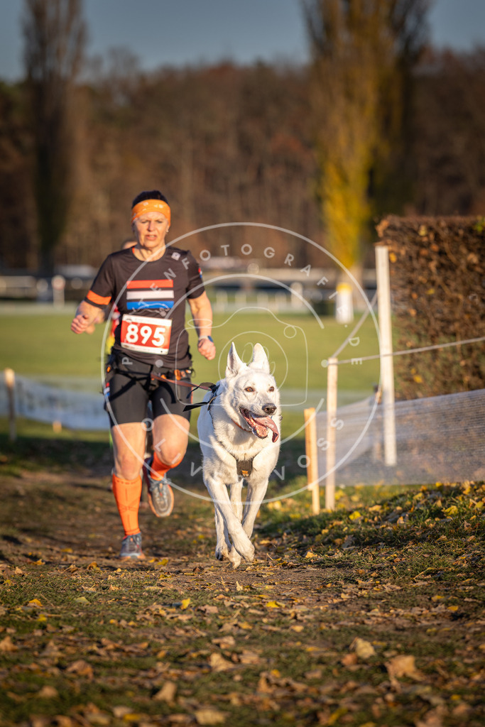 CaniXpix_DV3A4532 | Hundefotografie, Tierfotograf, Pfotenfotografie, Fotoshooting Hund, Hunde Portrait, Hundesport, Hundeportraits, Heideshooting, Hunde, Sportfotograf, Hundefotograf, Turnierhundsport, THS,  - Realisiert mit Pictrs.com