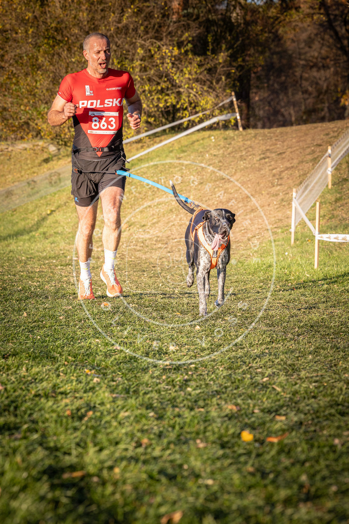 CaniXpix_0L8A1019 | Hundefotografie, Tierfotograf, Pfotenfotografie, Fotoshooting Hund, Hunde Portrait, Hundesport, Hundeportraits, Heideshooting, Hunde, Sportfotograf, Hundefotograf, Turnierhundsport, THS,  - Realisiert mit Pictrs.com