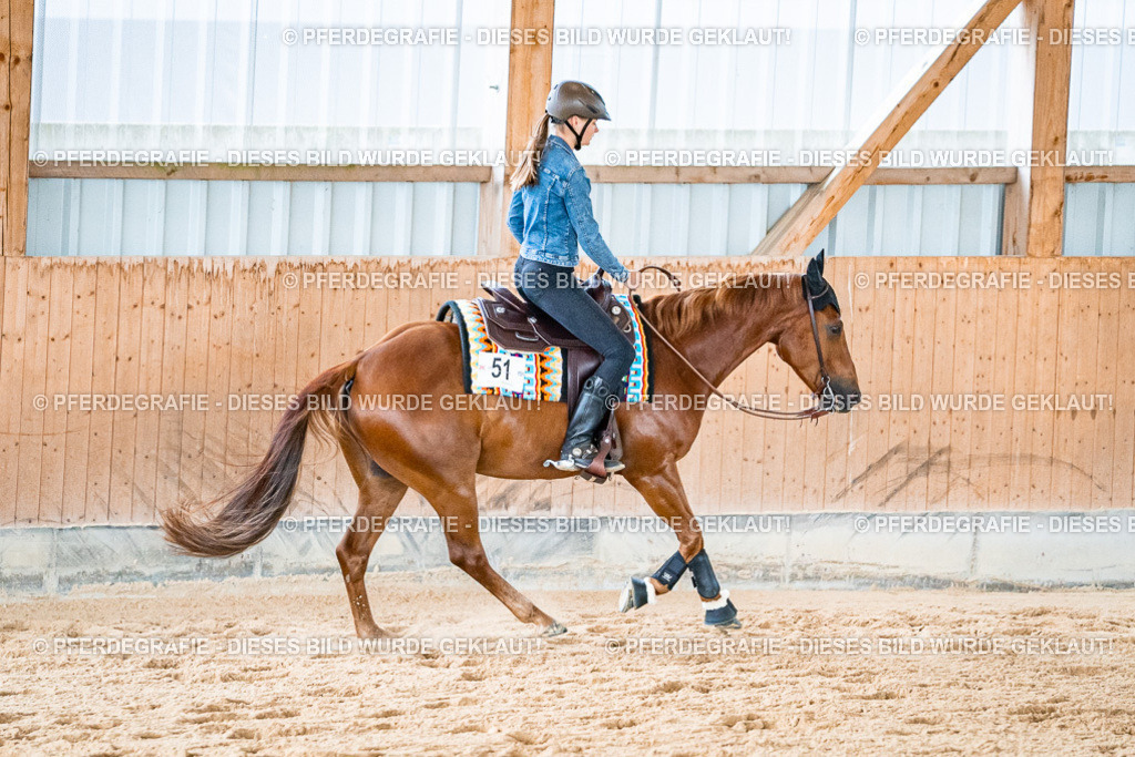 DSC09443 | Pferdegrafie