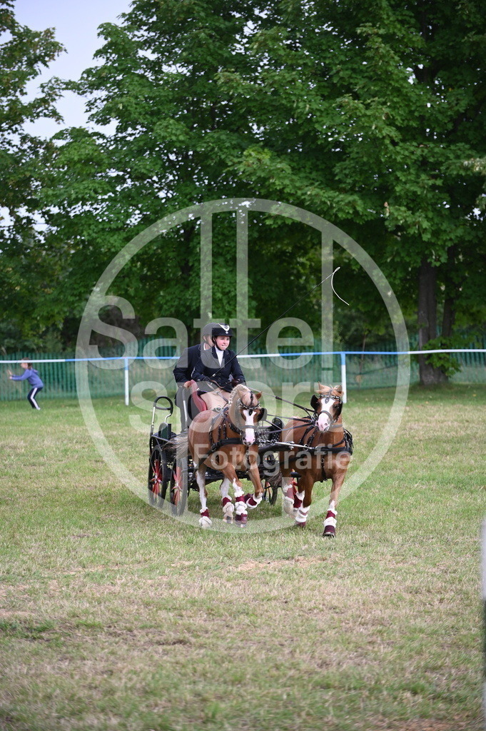 DSC_8680 | sattelsport - Realisiert mit Pictrs.com