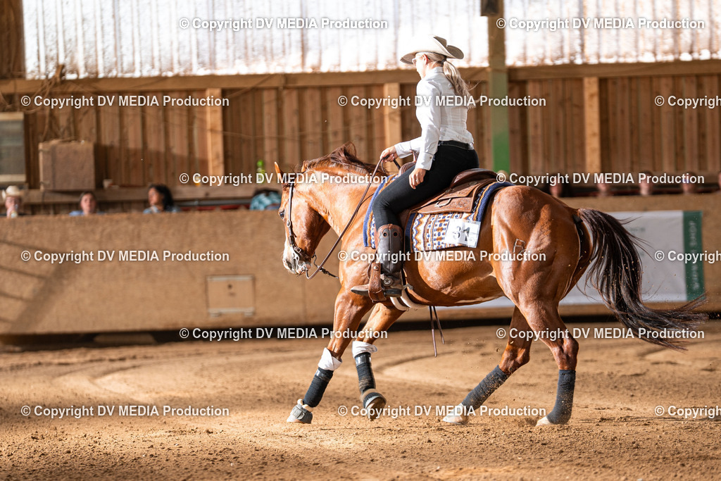 Balingen Tag 2-1303 | dv-media-shop - Realisiert mit Pictrs.com