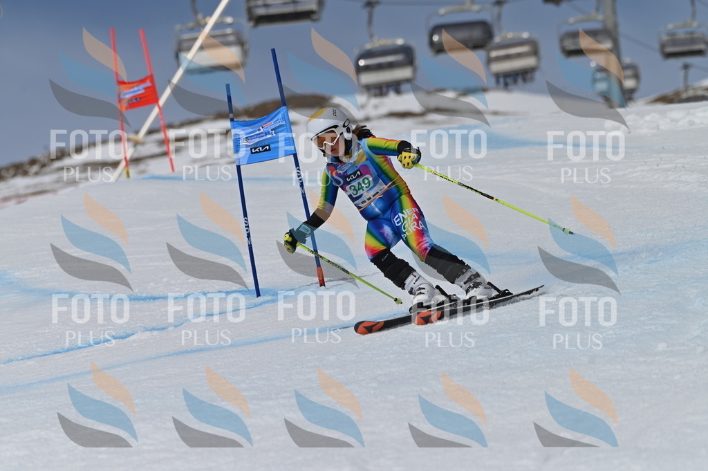 BGV_6874 | holidayphoto