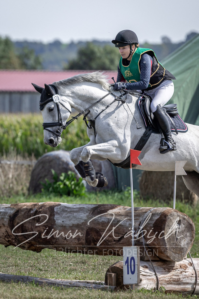 20250907-_3LI1125 | Tierfotografie Pferde, Hunde, Katzen, Haustiere.
Turnierfotografie Reitturniere, Reiten, Springreiten, Dressur in Hanau, dem Main-Kinzig-Kreis und dem Rhein-Main- Gebiet um Frankfurt