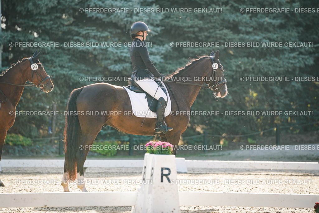 DSC07829 | Pferdegrafie