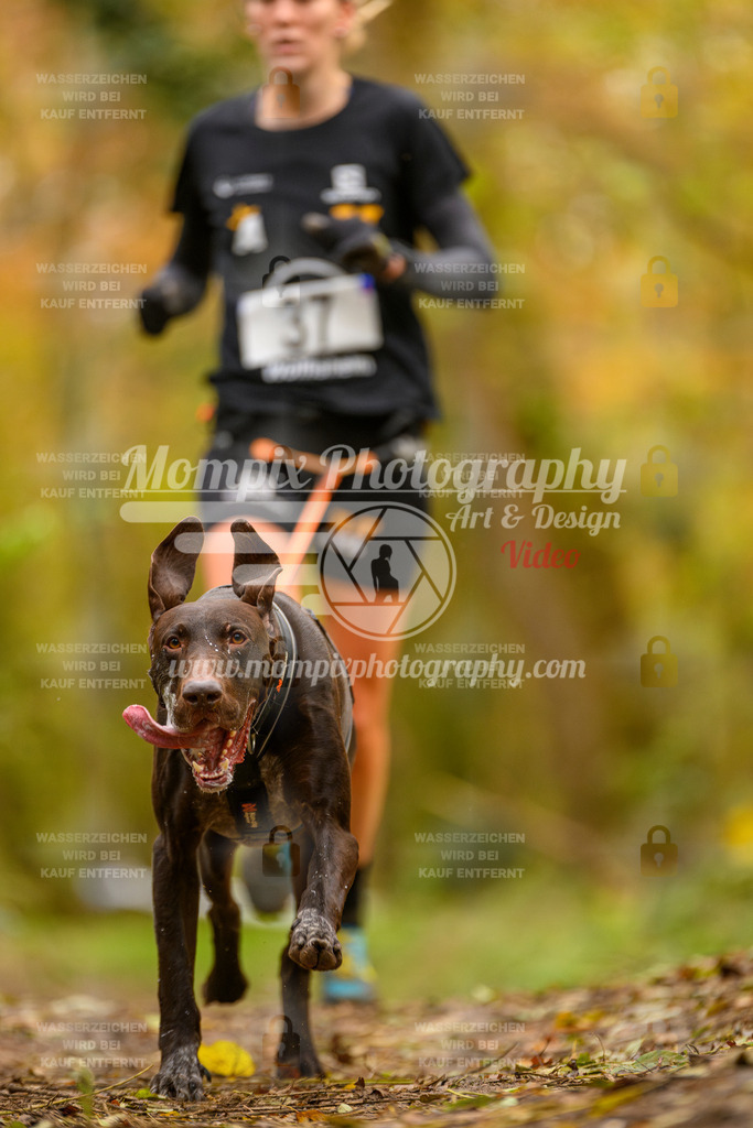 MompixPhotography_Bischwiller24_SA_Canicross-20 | PayLife