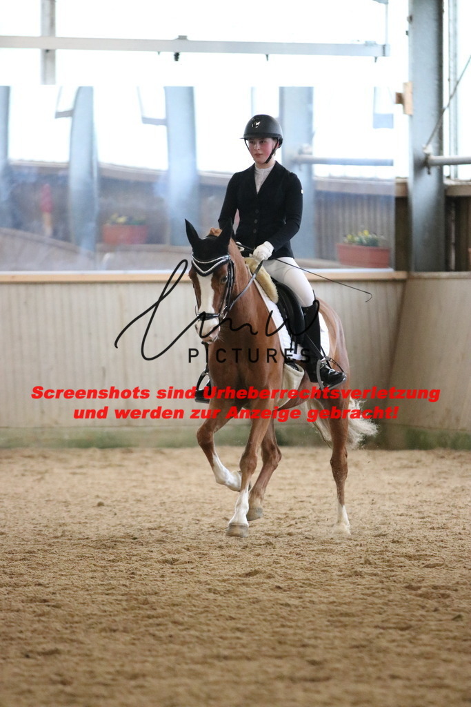 IMG_6874 | lmwpictures - Realisiert mit Pictrs.com