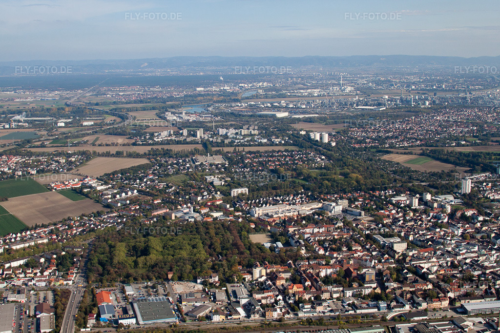 Luftbild: Nordring in Frankenthal im Bundesland Rheinland-Pfalz in Deutschland. Foto: IMG_21905.jpg vom 09.10.2009 durch Werner Riehm/FLY-FOTO.de