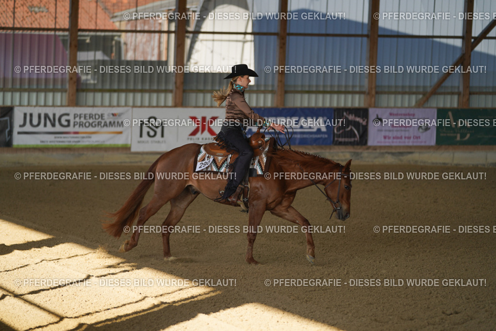 DSC08758 | Pferdegrafie