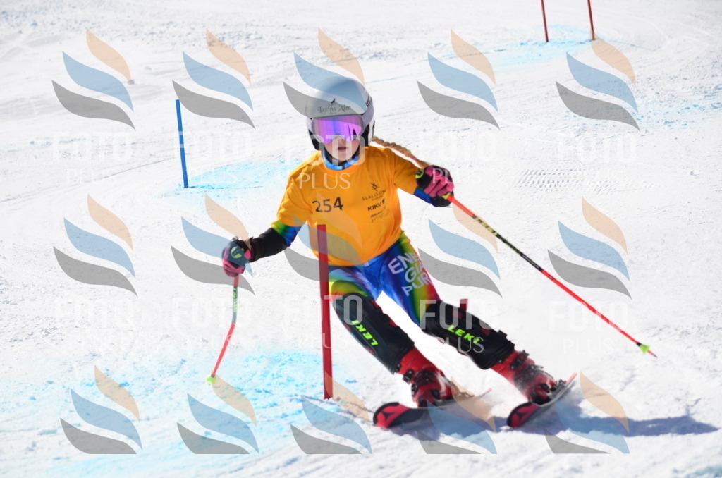 C8465 | holidayphoto