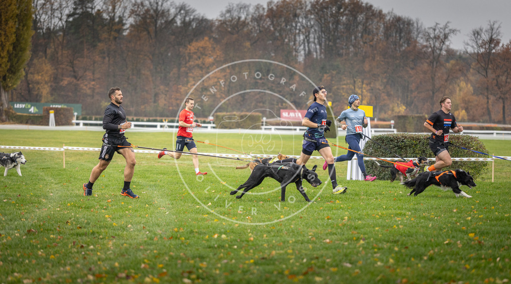 CaniXpix_DV3A9520 | Hundefotografie, Tierfotograf, Pfotenfotografie, Fotoshooting Hund, Hunde Portrait, Hundesport, Hundeportraits, Heideshooting, Hunde, Sportfotograf, Hundefotograf, Turnierhundsport, THS,  - Realisiert mit Pictrs.com